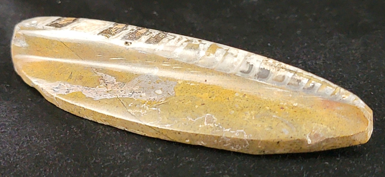 Vintage Ancient Orthoceras Squid Shell Fossil Morocco Approx 3.5" & 4.5" Lot of