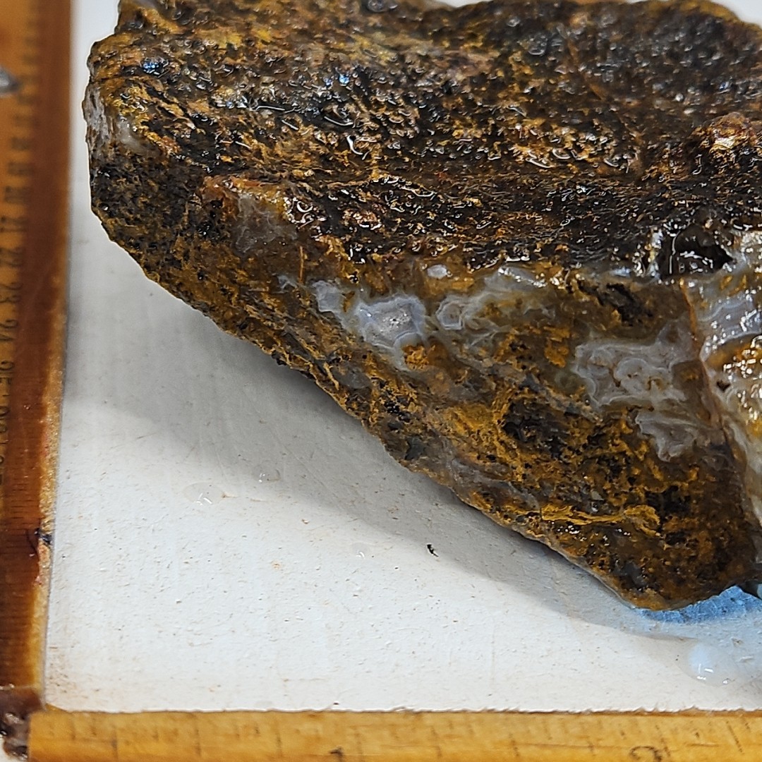 Agua Nueva agate rough. Beautiful light blue banded agate, with drusy 1LB 1.6oz.