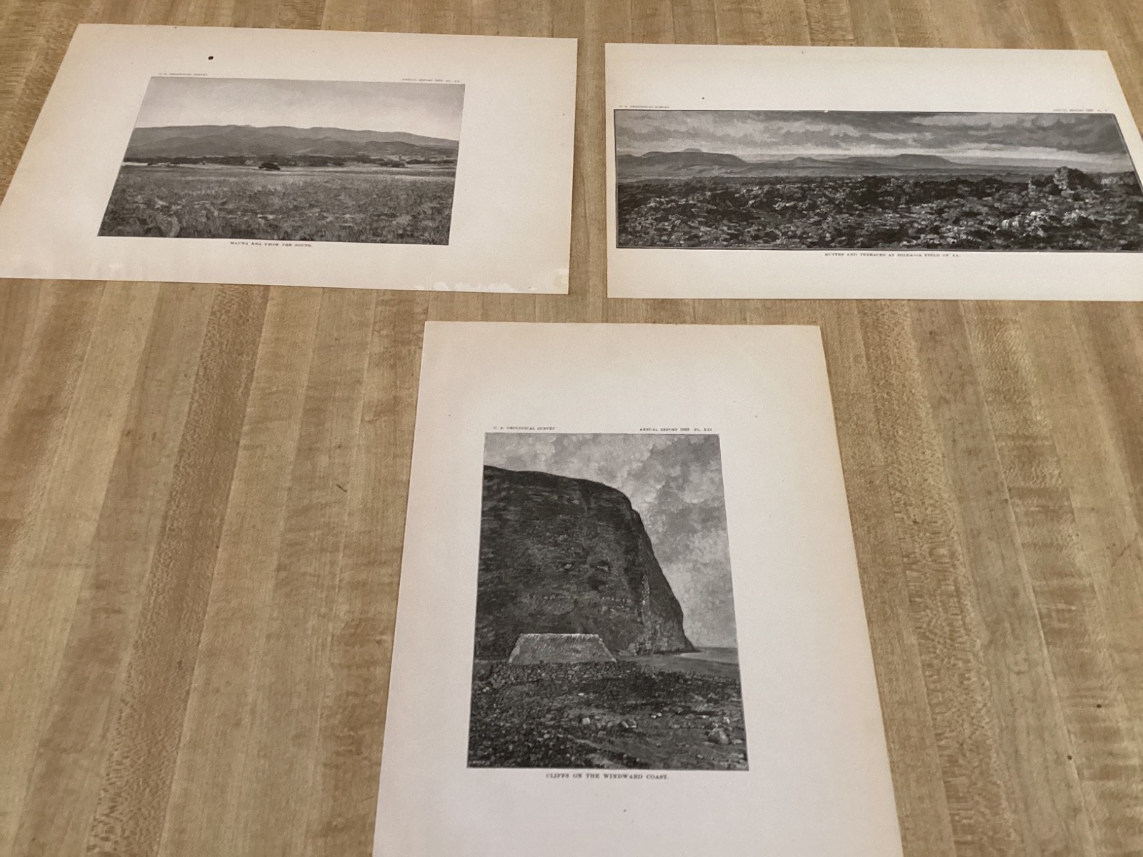 Antique Lot Of 18 Old 1883 Hawaii - USGS Survey Prints