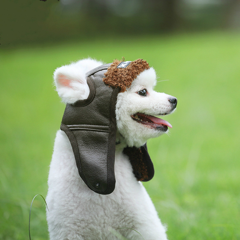 Pet Dog Pilot Hat Puppy Cute Aviator Cap Windproof Spring Autumn Style Costume