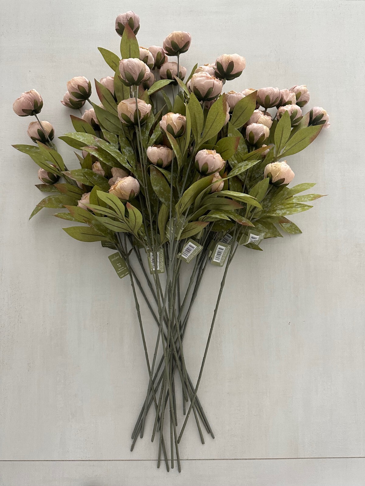 Ashland Tan Peony Stems 16-Pack Floral Stems New Free Shipping