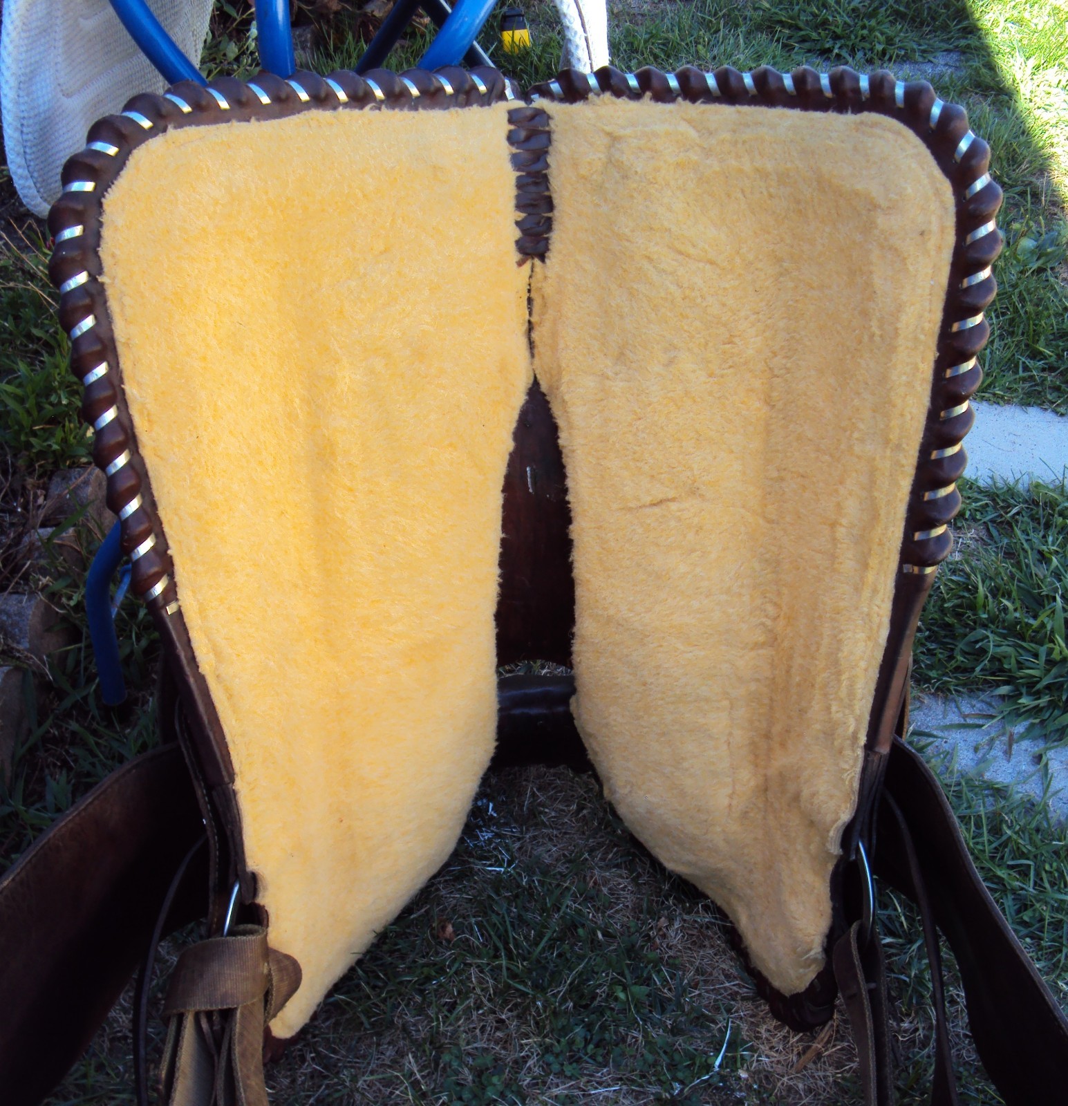 CIRCLE Y Western Show Saddle - 15" - SILVER CONCHOS - Padded Seat - BEAUTIFUL!