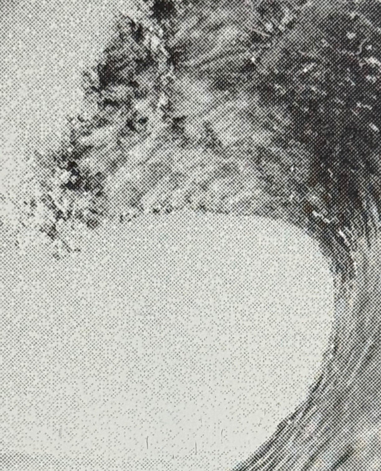 Photo Axis 37” ARBOR 2021 Performance Longboard Deck - 8.5" Photo Collection