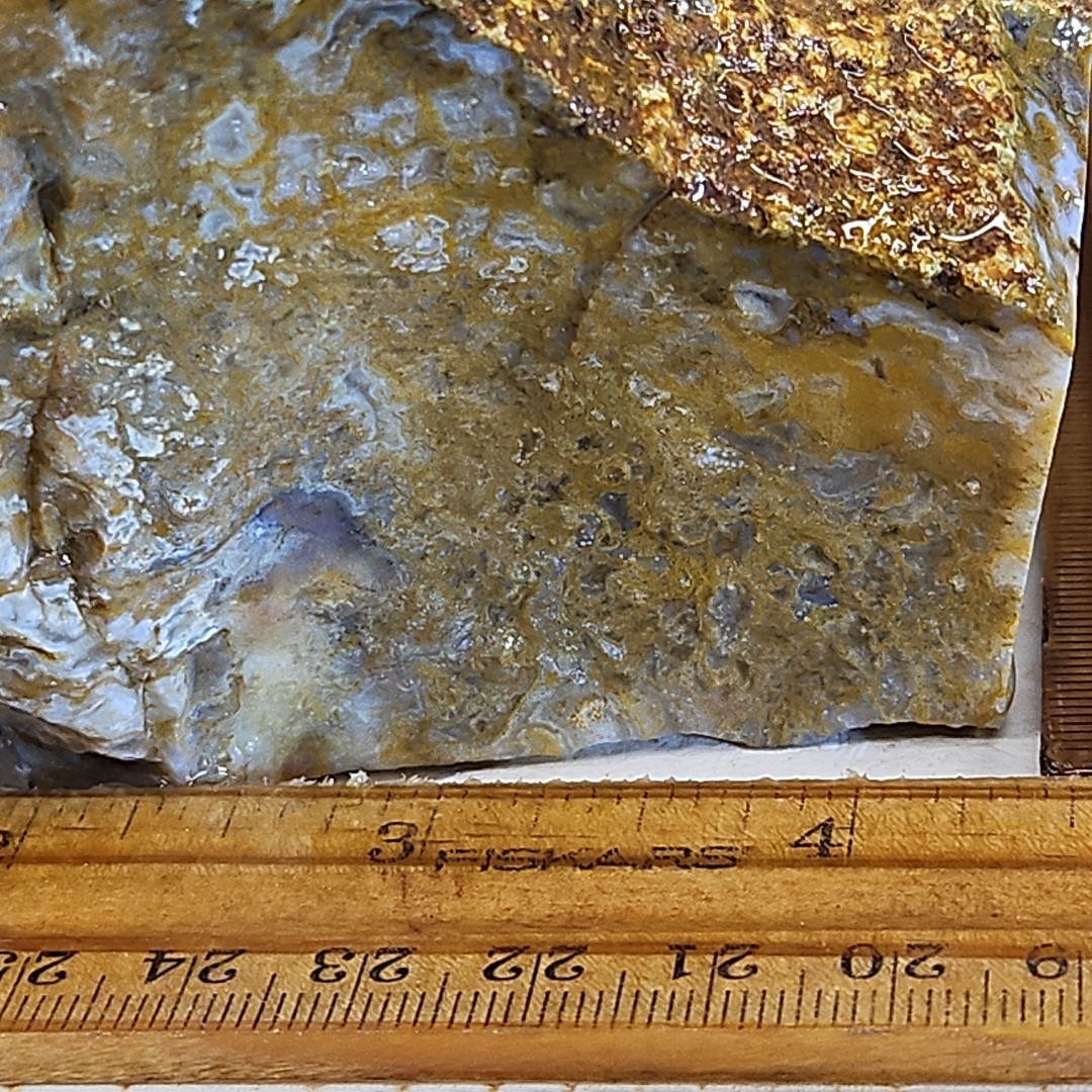 Royal blue agate rough. Spectacular blue colors, sharp banding 2LBS 4.7oz.