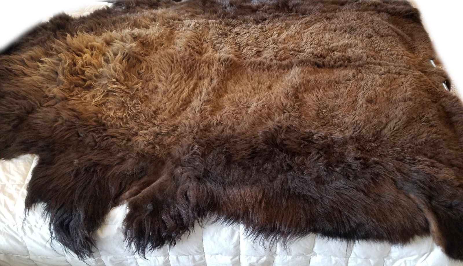 Buffalo Hide Rug, 'Large' Premium Winter Coat Tanned Bison Rug, Made In The USA