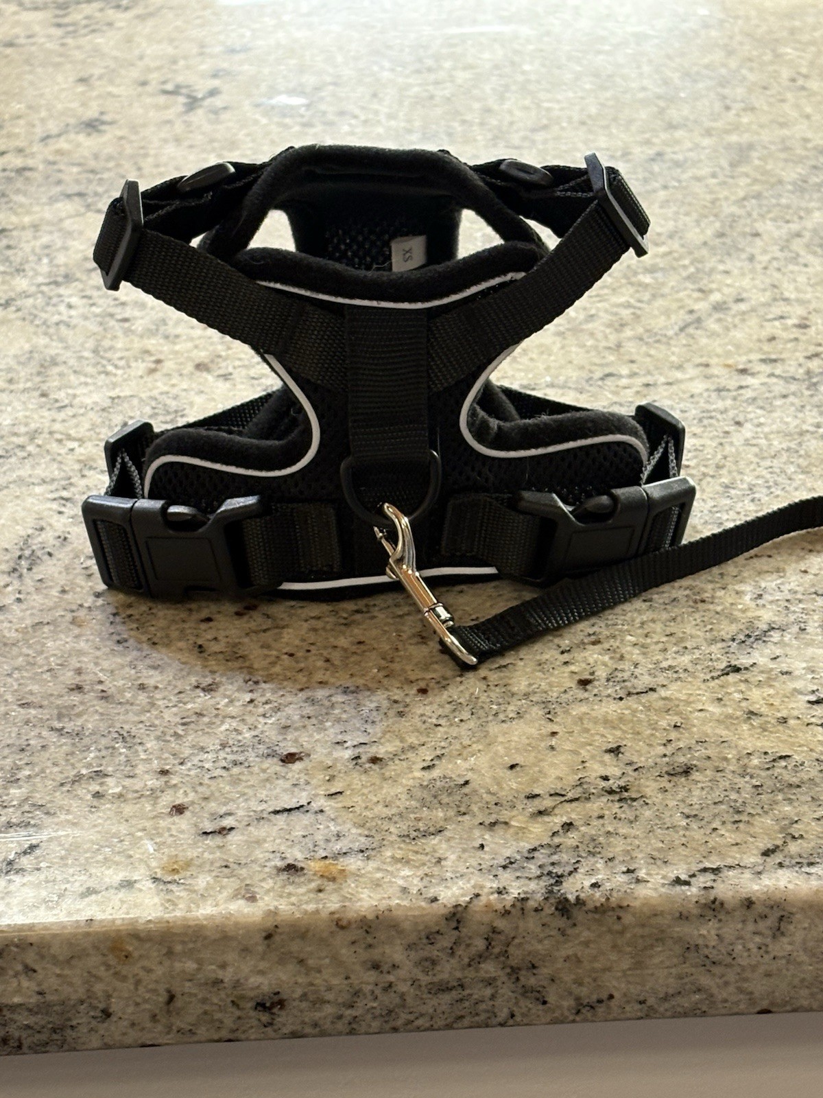 Rabbitgoo Cat Harness & Leash Set - Escape Proof Reflective Strips Black Size XS