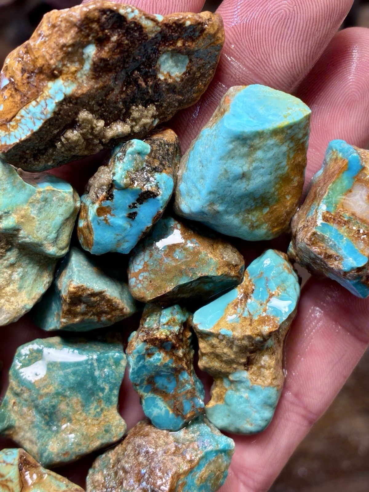 Turquoise Mountain - Kingman Blue Turquoise in Classic Red Matrix. 1 Lb.