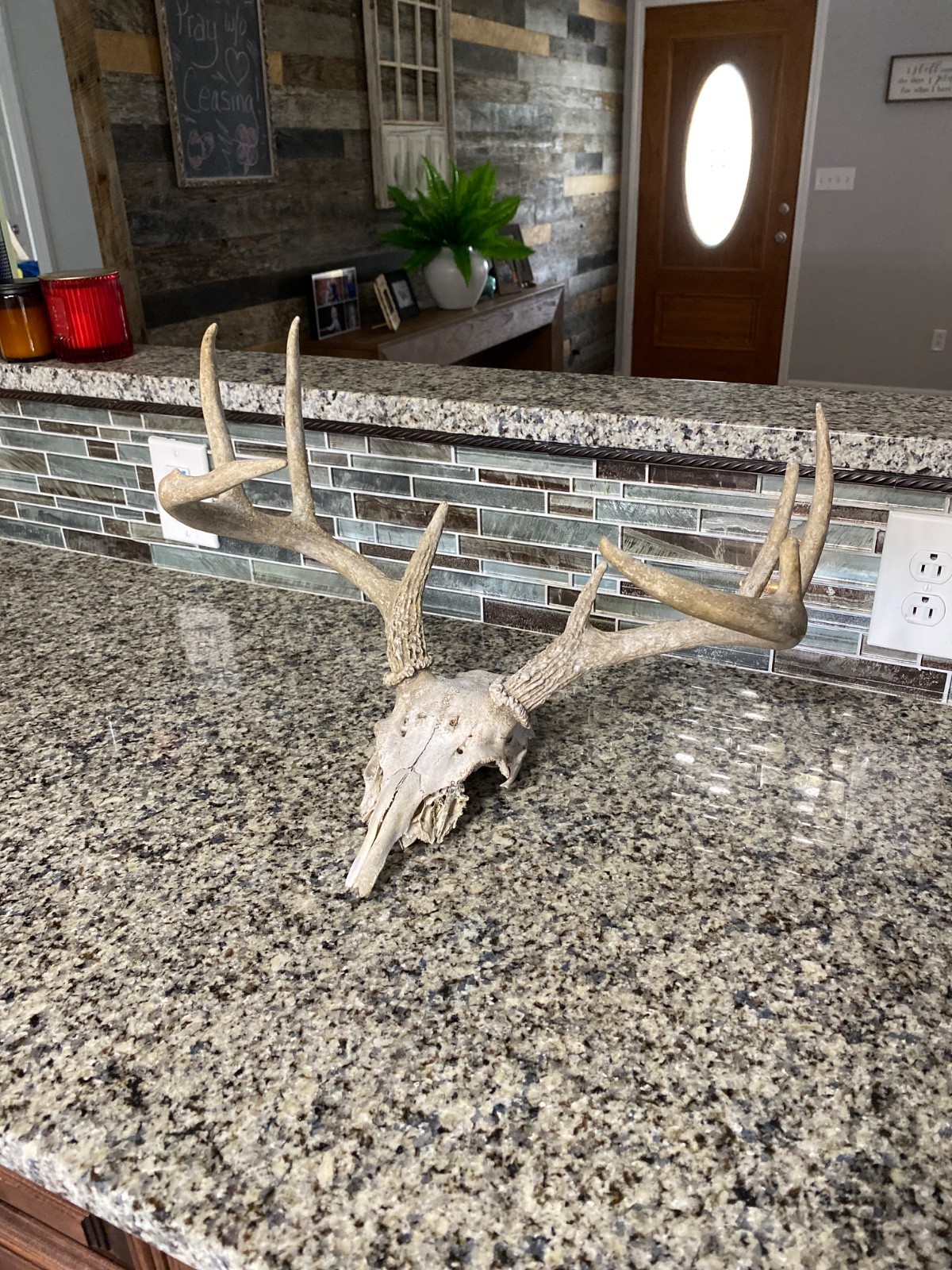 Wild 9 Point Whitetail Deer Antler Rack Horn Skull Decor Man Cave Cabin Decor