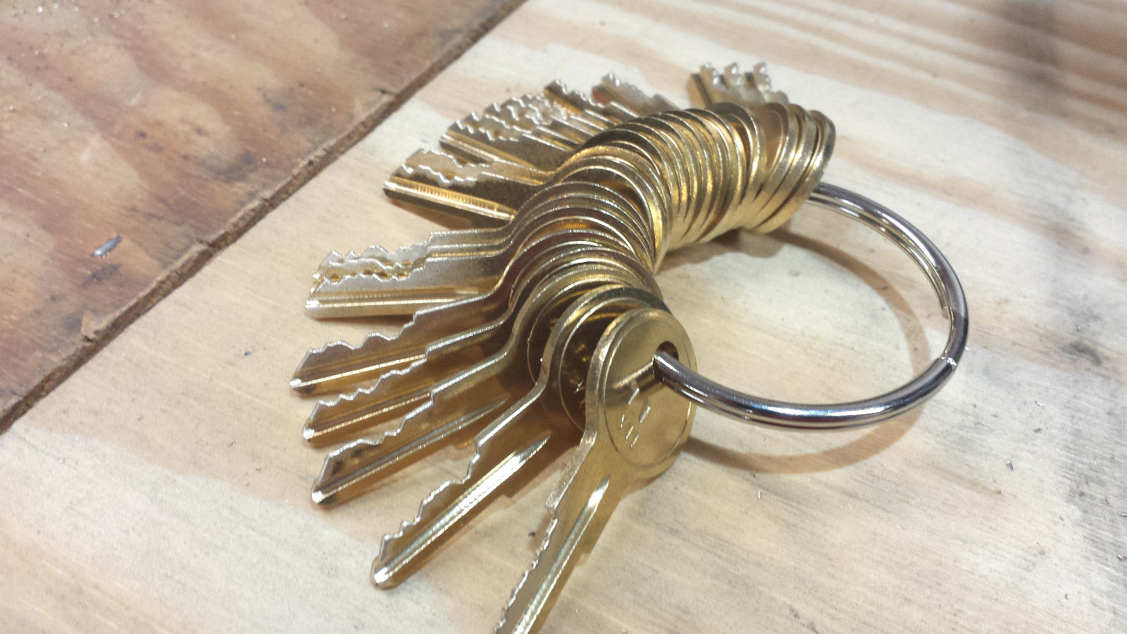 Detex Keys Full set 20 keys DT11 through DT30--CUT ON NEW BLANKS BY LOCKSMITH