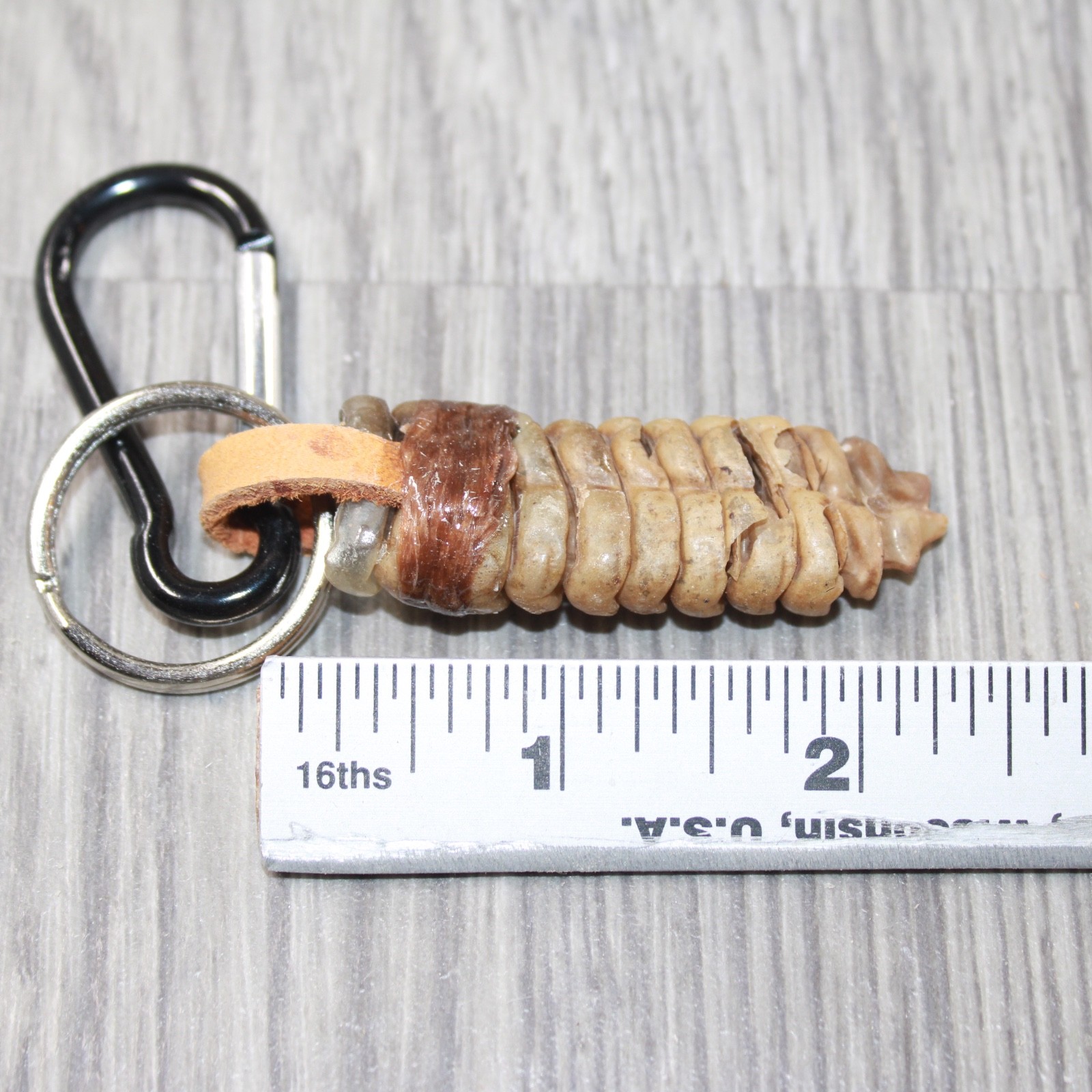 Very Large Rattlesnake Rattle Key Ring #4662 Mountain Man Key Chain