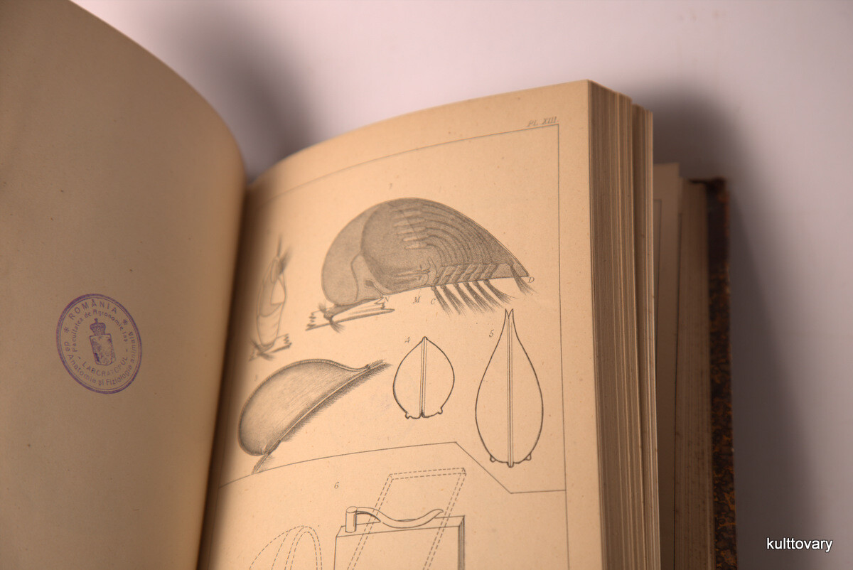 1877 quekett microscopical club ANTIQUE book journal vol.4