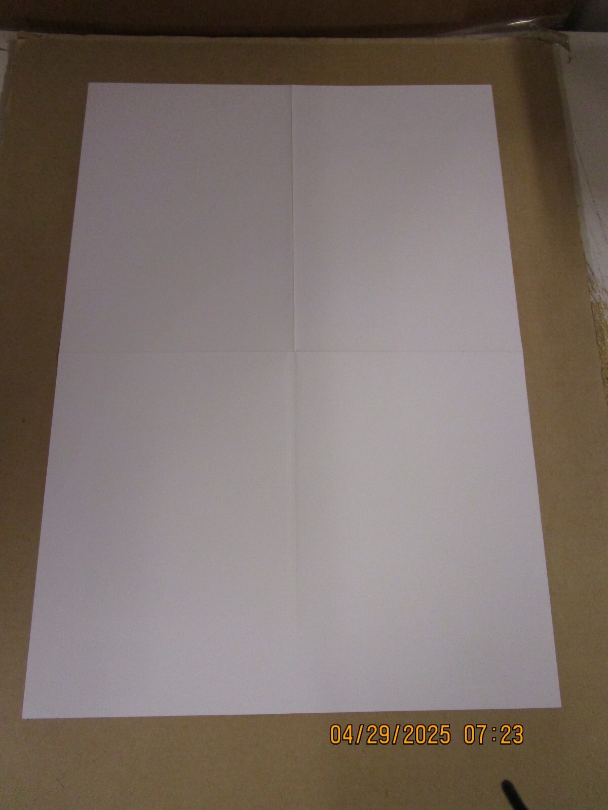 PINBACK Summer In Abbadon Promo Poster New! Unused! 2004 Touch & Go Records Crow