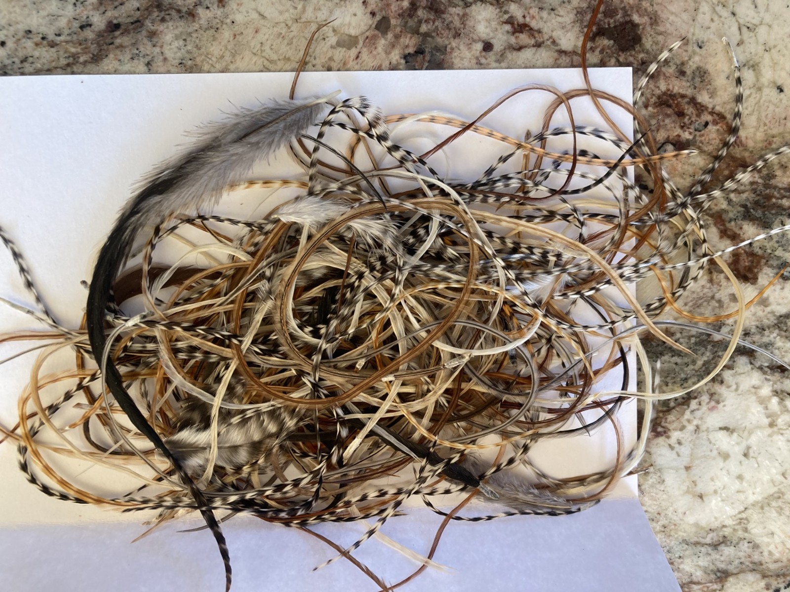 hair feathers extensions 50 pack