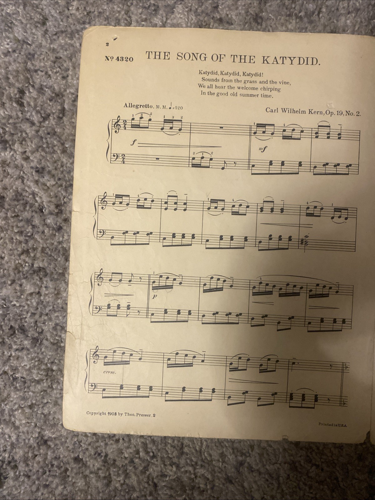 Antique 1903 Piano Sheet Music “ The Song Of The Katydid”