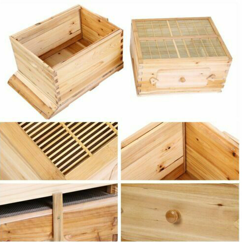 Upgrade 7X Auto Honey Hive Beehive Frames + Beekeeping Brood 2 Layer Box house