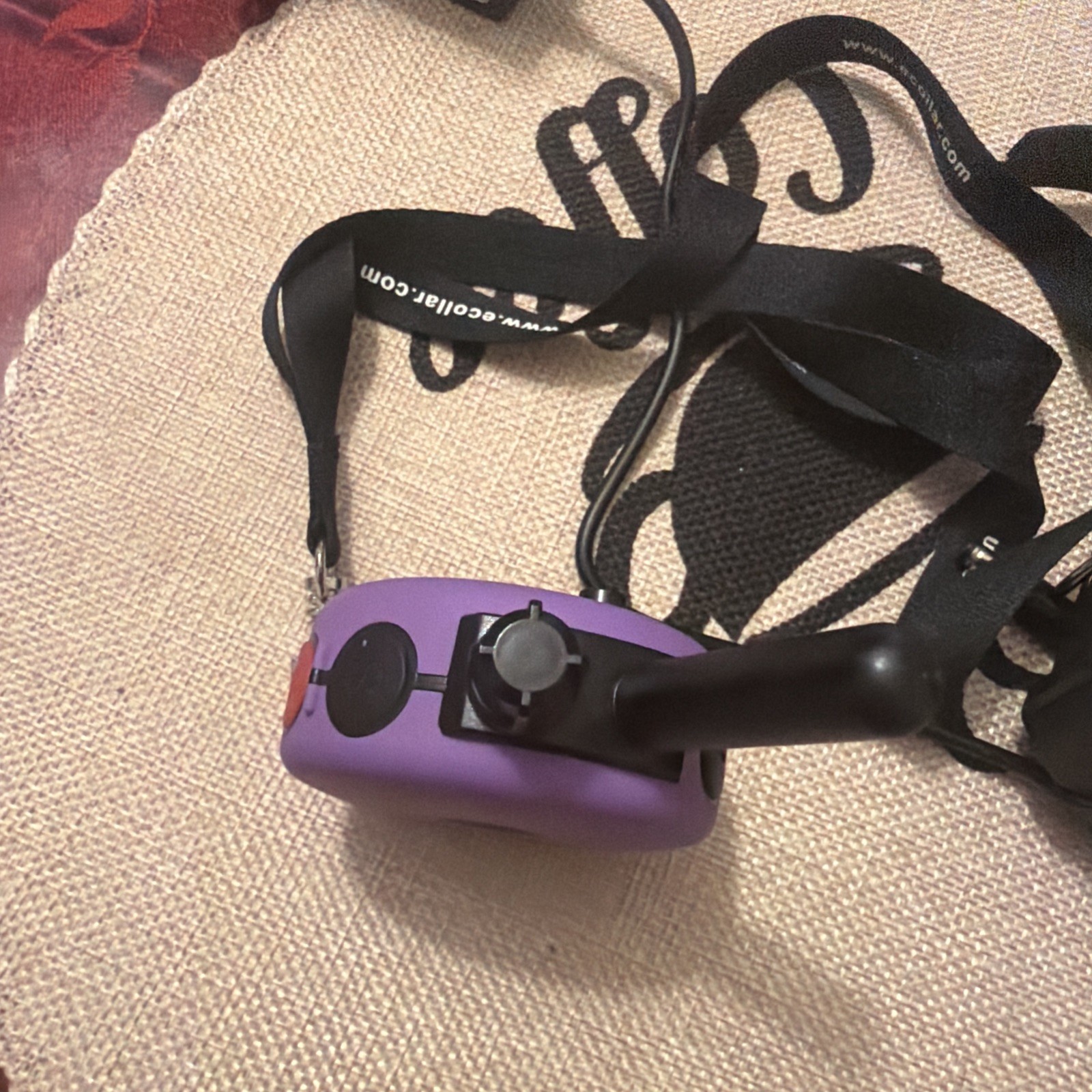 Brand New! MICRO EDUCATOR (ME-300) E-COLLAR Humane DOG COLLAR w/Remote PURPLE
