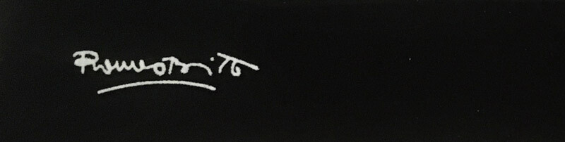 Disney Disneyland 60th Diamond Tinker Bell Shadow Box Wall Art by Britto NEW