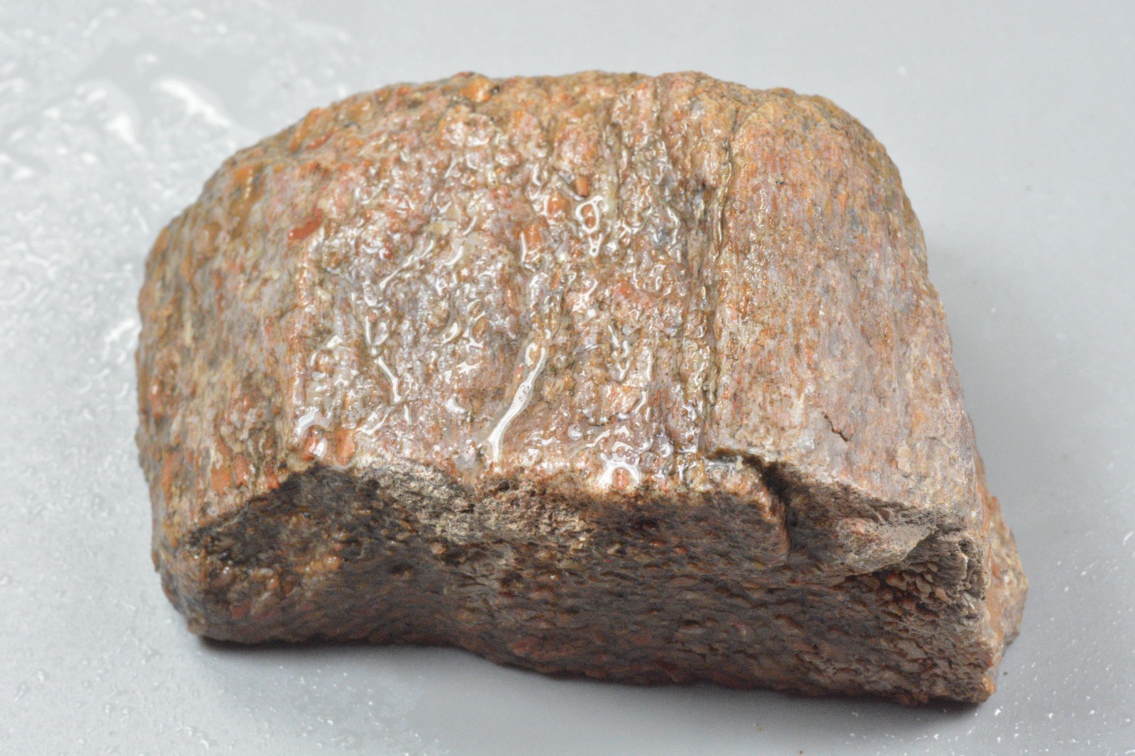 Agatized Dinosaur Bone, Utah, EX Shirley Collection, 275 grams