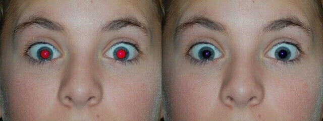 GIMP 3 (2025 Edition) Pro Graphic Design - Image Editing Software Program on CD