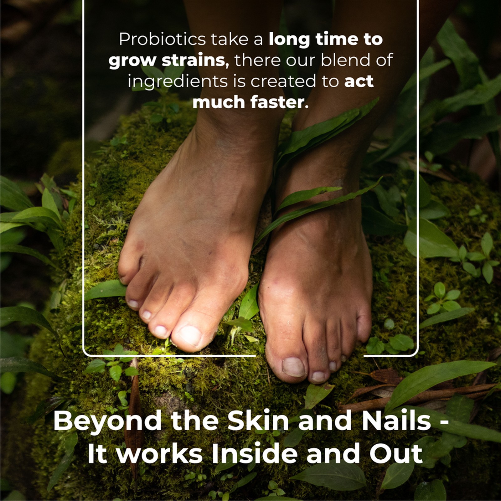 PureHealth Research Fungus Eliminator - Toenail Care, Oregano, Garlic, Wormwood