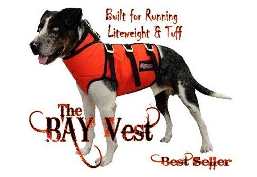 BAY VEST made with KEVLAR for hog dogs ORANGE Large STRONG Good Fit