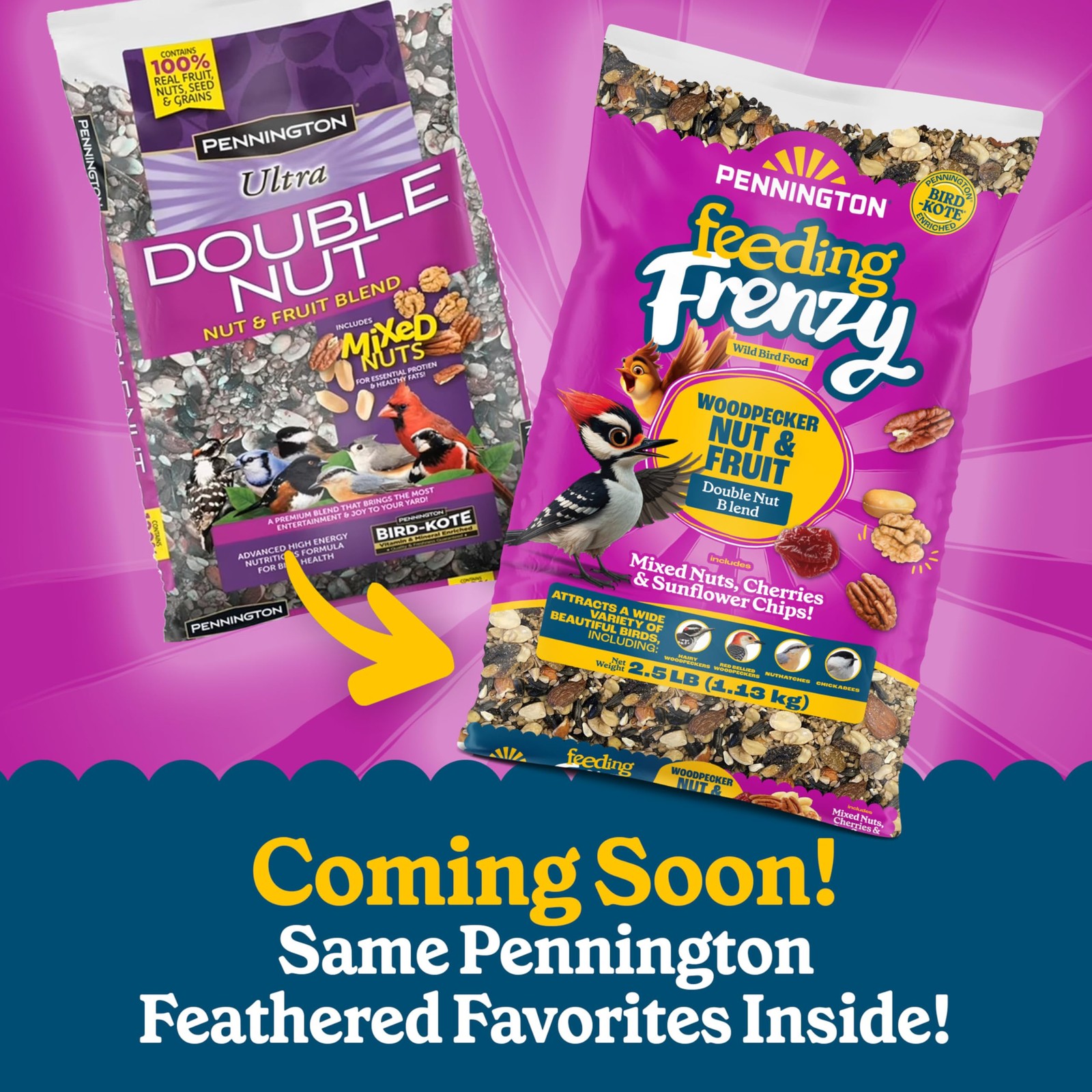 Pennington Ultra Double Nut & Fruit Blend Bird Food 10lbs Pack of 2
