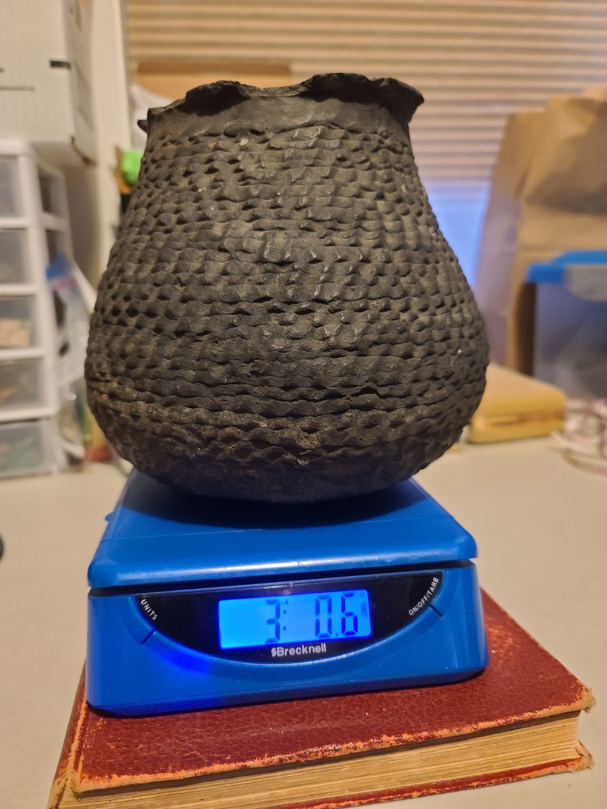 Ancient Anasazi Corrugated Olla Pot Jar Vessel 7" Tall Native American Artifact