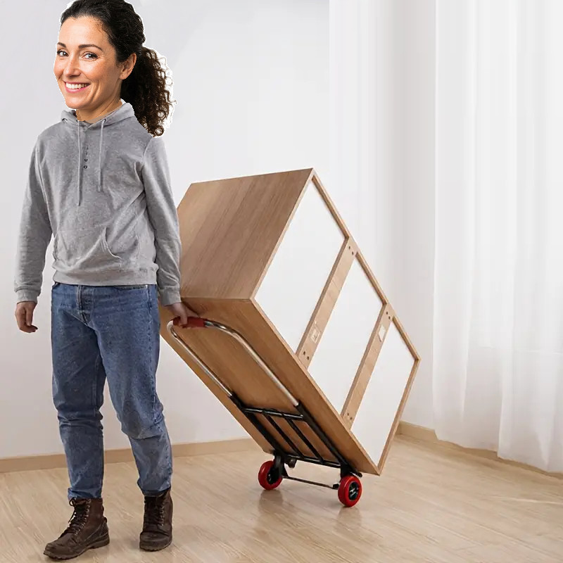 Portable Collapsible Hand Dolly truck for Shopping Camping Moving w/ 3 Tie ropes