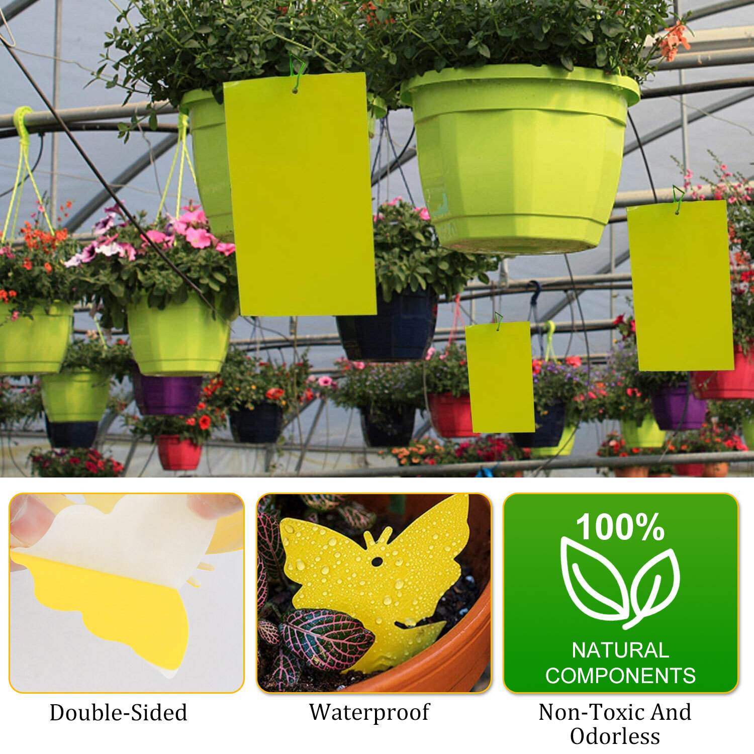 60 PCS Sticky Fly Traps- Gnat&Insect Catcher with Hanging Ropes|Strong Glue Trap