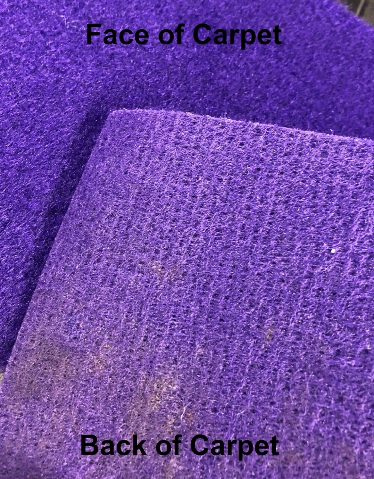PURPLE Marine Boat Carpet - 6' x 10’ - Outdoor Rated - Easy to Install