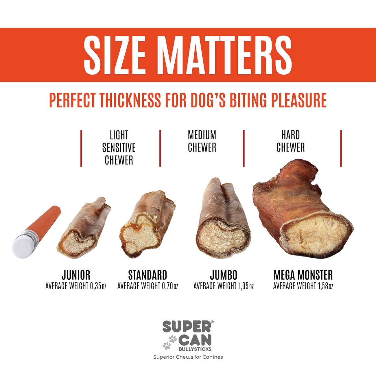 Long Lasting Bully Sticks for Dogs 6" Standard 10 pcs Bag