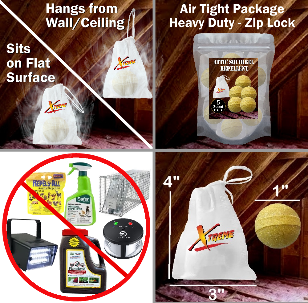 Xtreme Attic Squirrel Repellent. Drives Squirrels Out Fast! 5 Pack