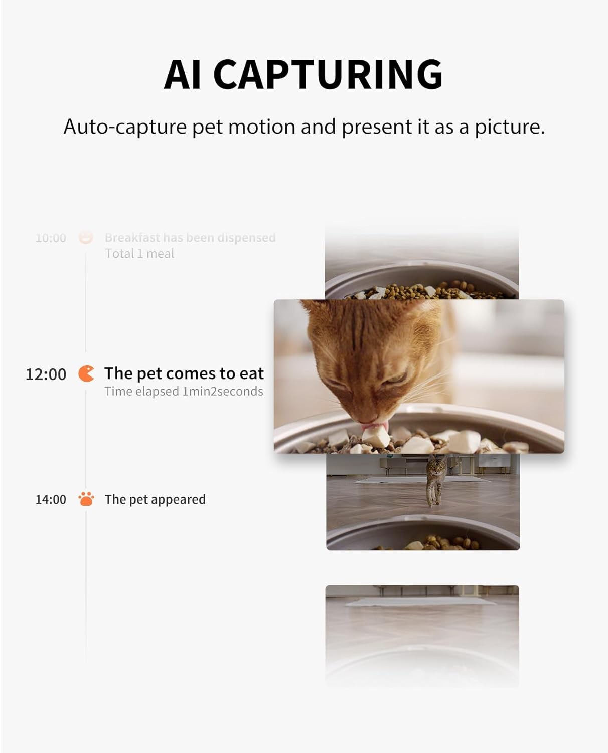 PETKIT 3L Automatic Cat Feederwith Camera, 2.4G WiFi Pet Feeder for Cat & Dog