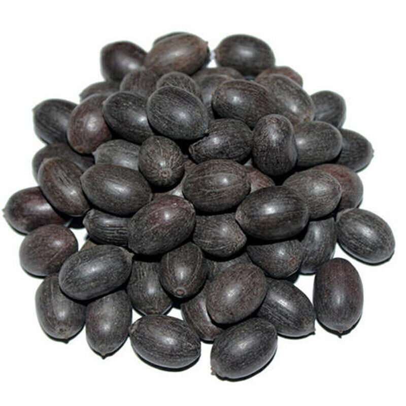 30/90Pcs Seeds Lotus Mix Flower Seed Hand Picked Aquatic Plants Water Garden US