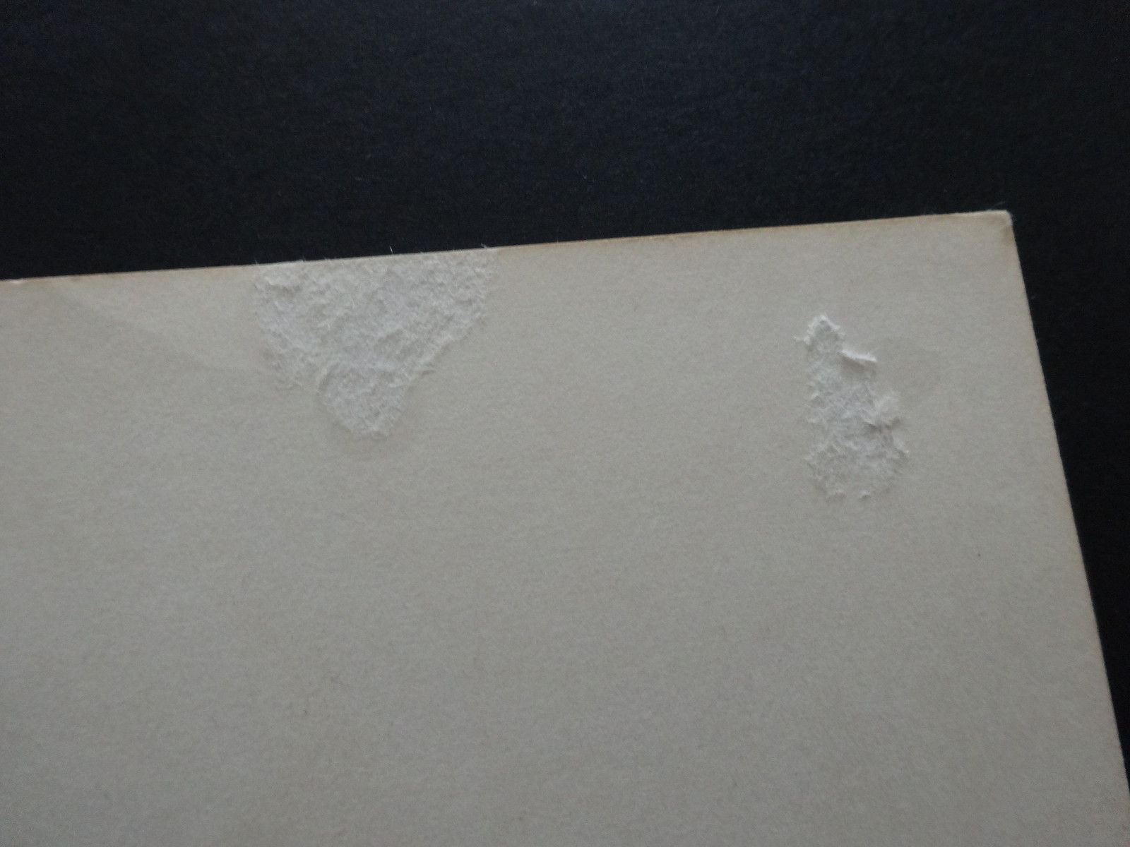 Bill Graham Fillmore Postcard Handbill BG 36 Buffalo Springfield Neil Young 1966