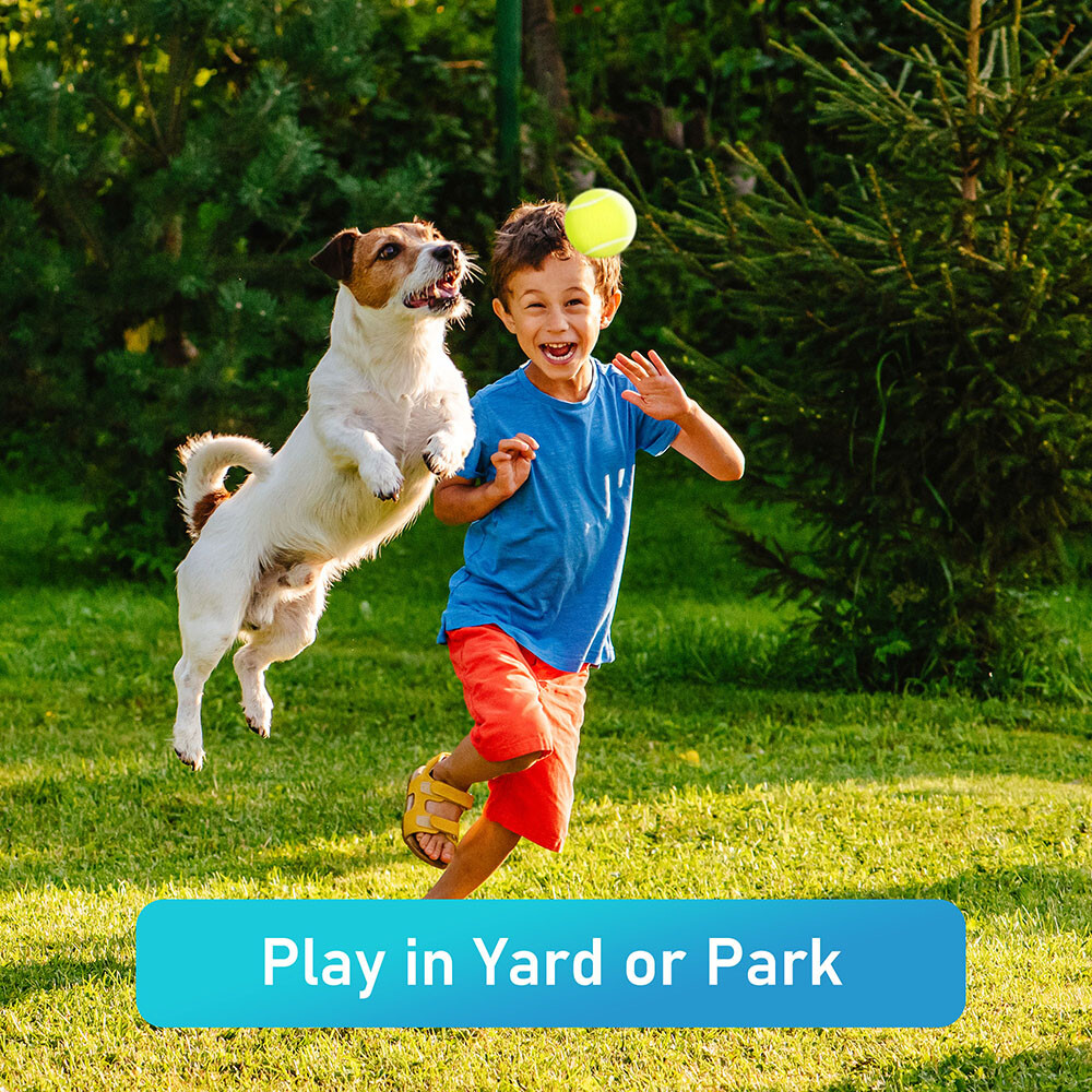 New Tennis Balls for Dogs 2.5” Squeaky Dog Toy Interactive Pet Fetch Ball