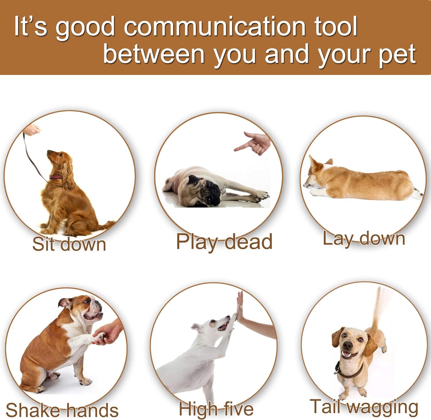 Training Clicker for Pet Like Dog Cat Horse Bird Dolphin Puppy with Wrist...