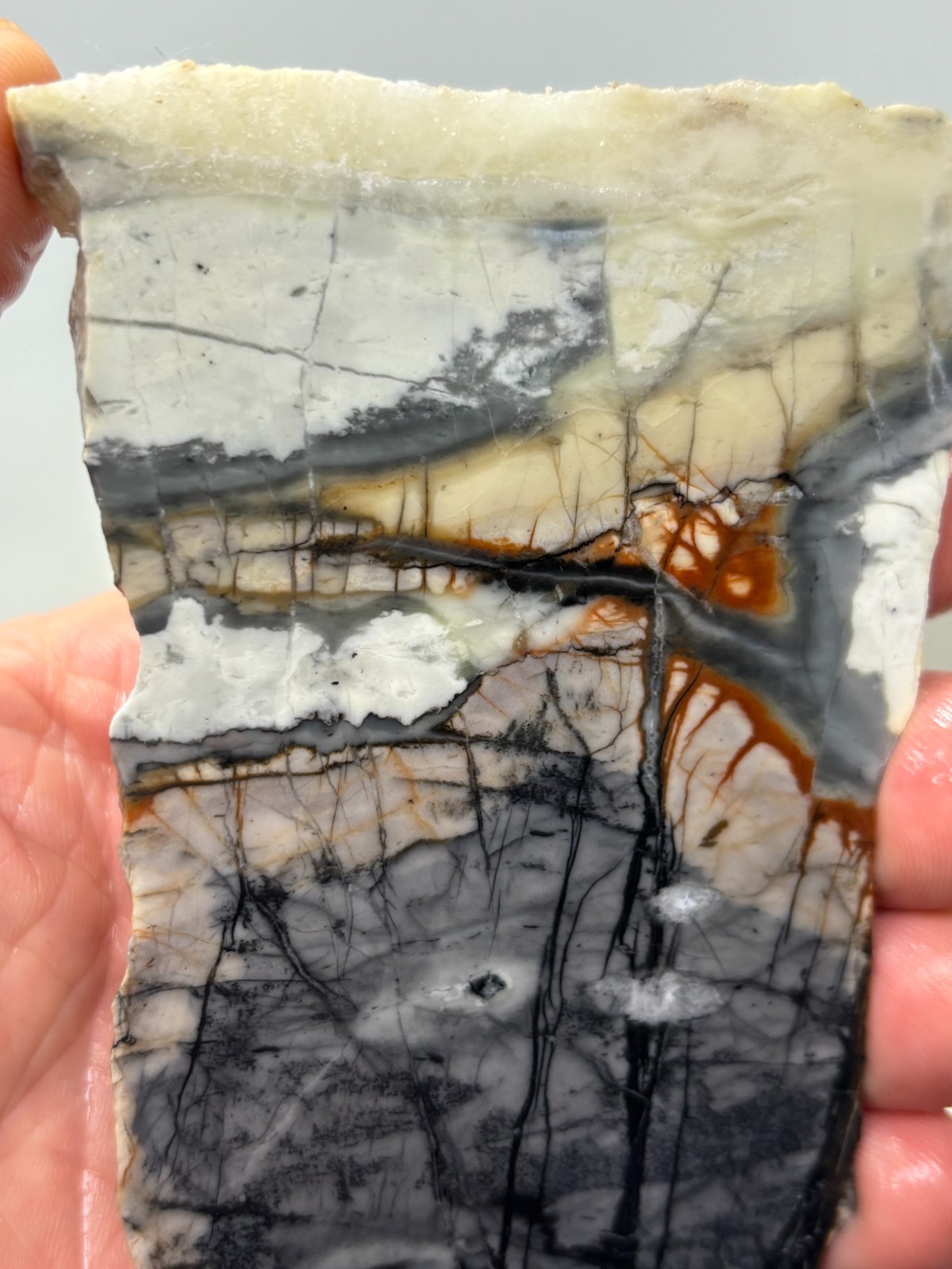 Picasso Marble (Jasper) end Slab Cabbing Lapidary Utah Combo Ship Avail