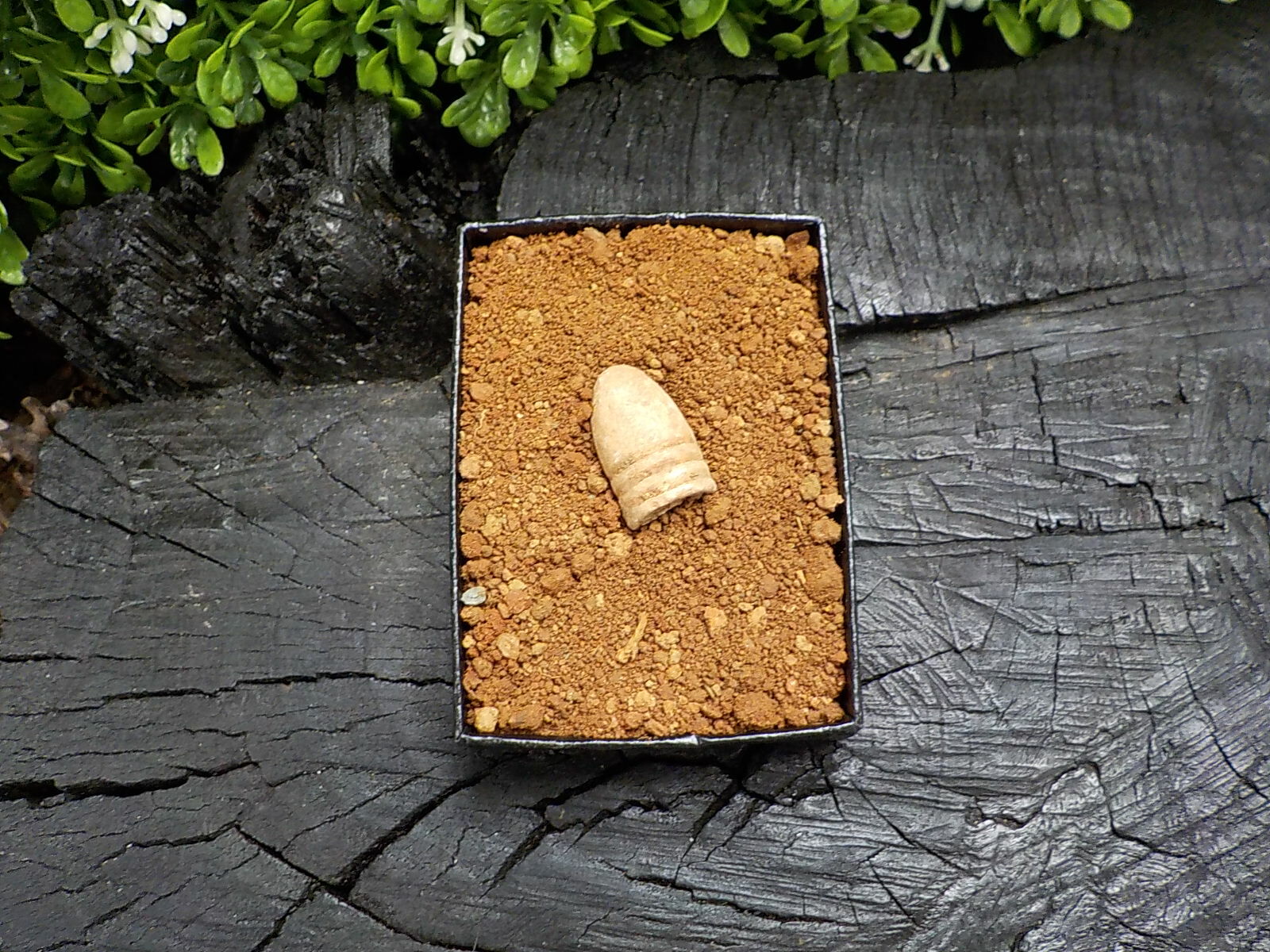 Old Rare Vintage Civil War Miniball in Appomattox Virginia Confederate Camp Soil