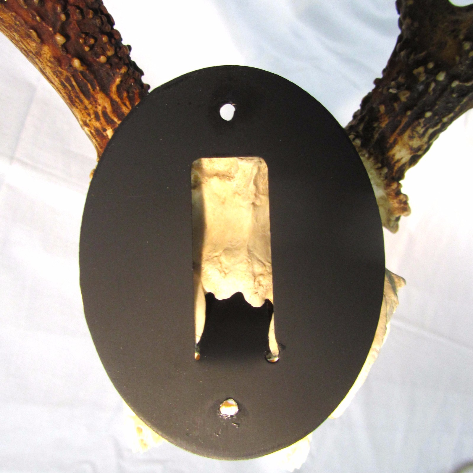 Metal European Mount Deer Skull Hanger Bracket Hook