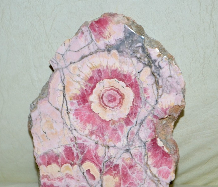 Big Rhodochrosite Stalactite Flower Slab from Argentina