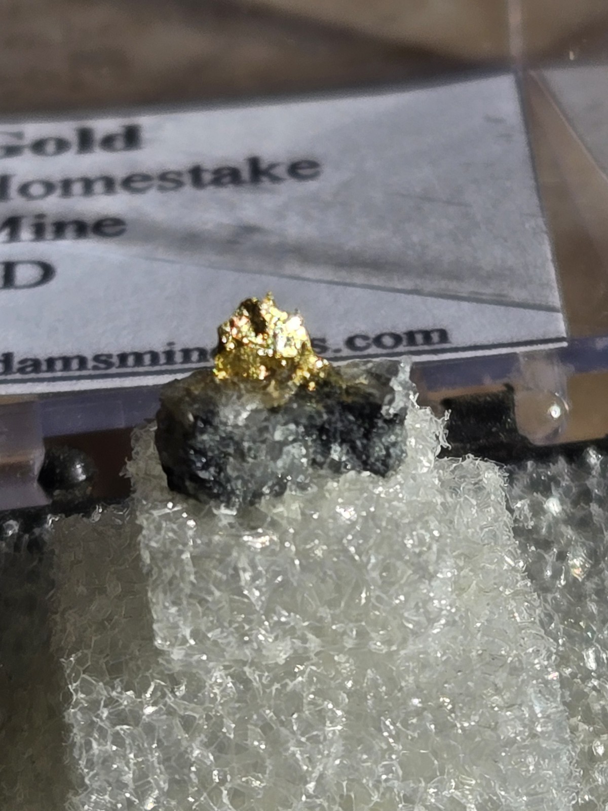 Beautiful Gold Thumbnail specimen