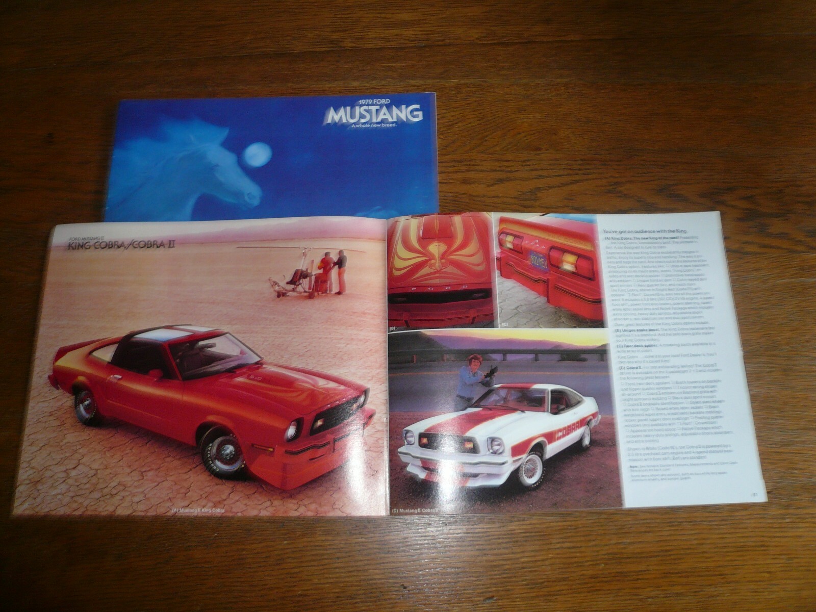 1978 and 1979 Ford Mustang Sales Brochure- Vintage- Two For One