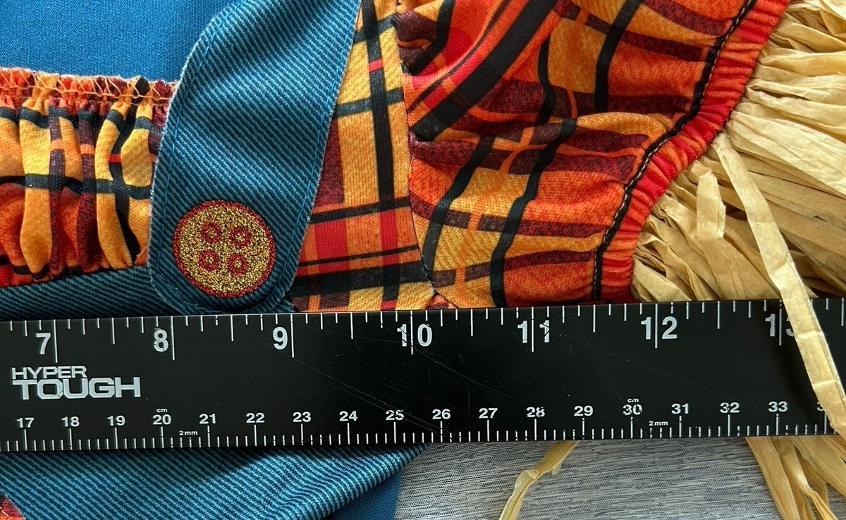 Girls Scarecrow Costume Tutu Skirt Sz 2T Halloween Thanksgiving Fall Pumpkin 2