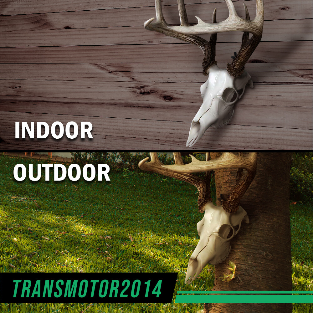 5Pcs European Mount Skull Wall Hanger Hook Deer Antelope Antler Mount Bracket