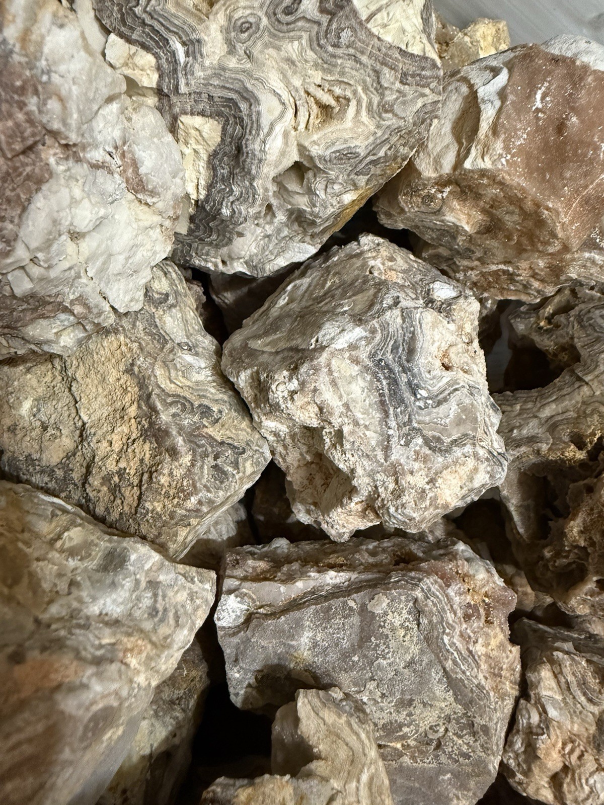 Crazy Lace Agate, Rough Lace Agate From Summerville Ga 10lbs Lot