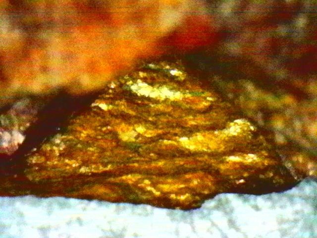 Gold Ore Specimen /Quality Visible Gold