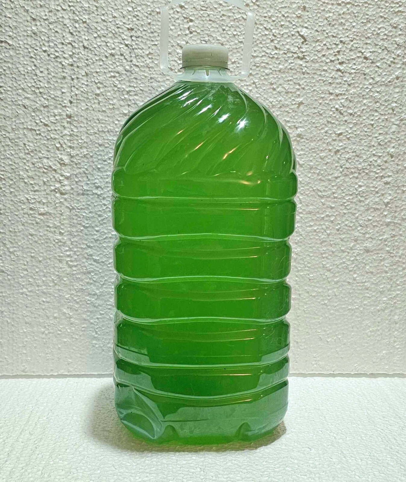 Rich Green Water (chlorella) 13oz Clean indoor cultures. Free Shipping