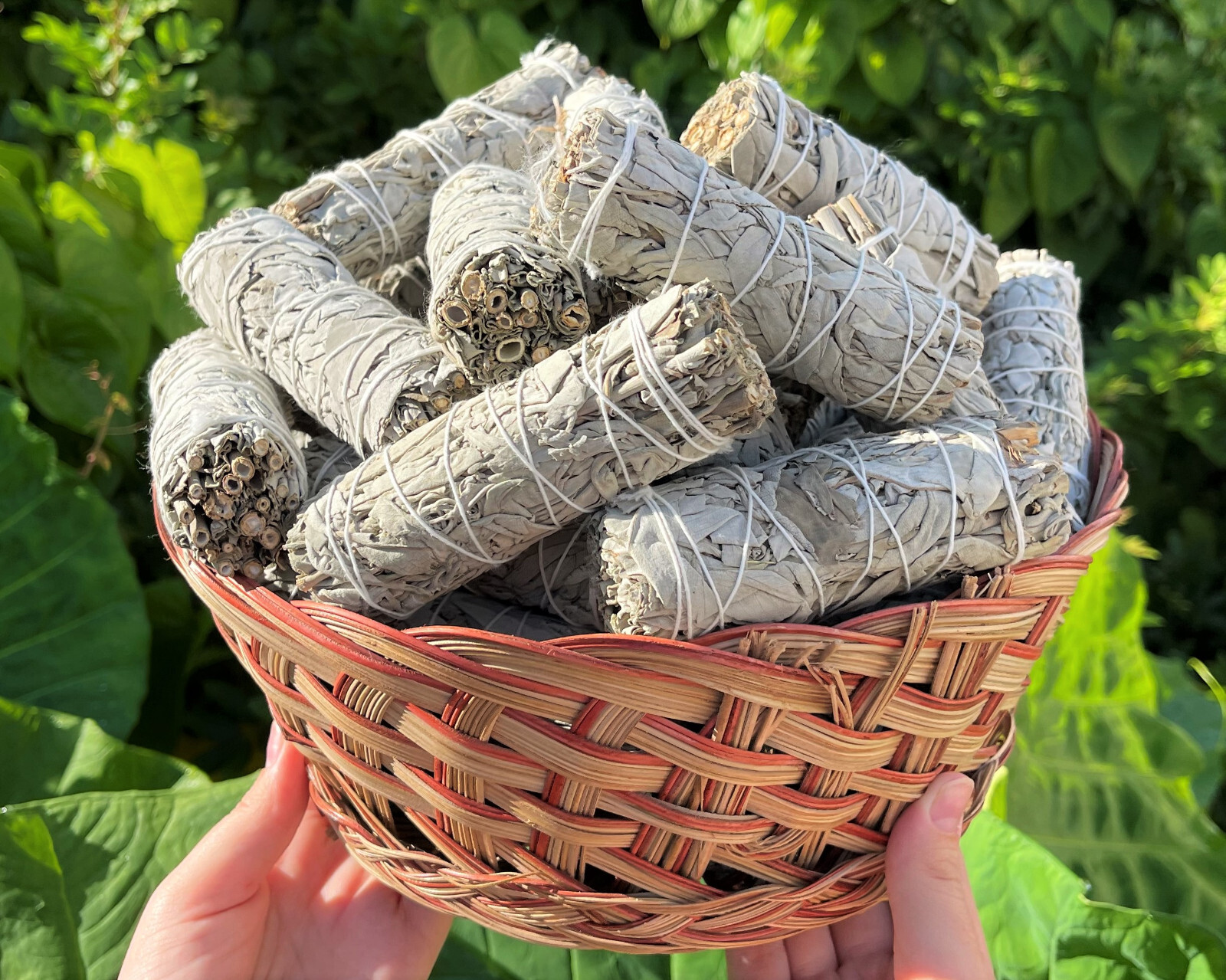 White Sage Smudge Stick, 4": Choose How Many (Bundle, House Cleansing, Bulk Lot)