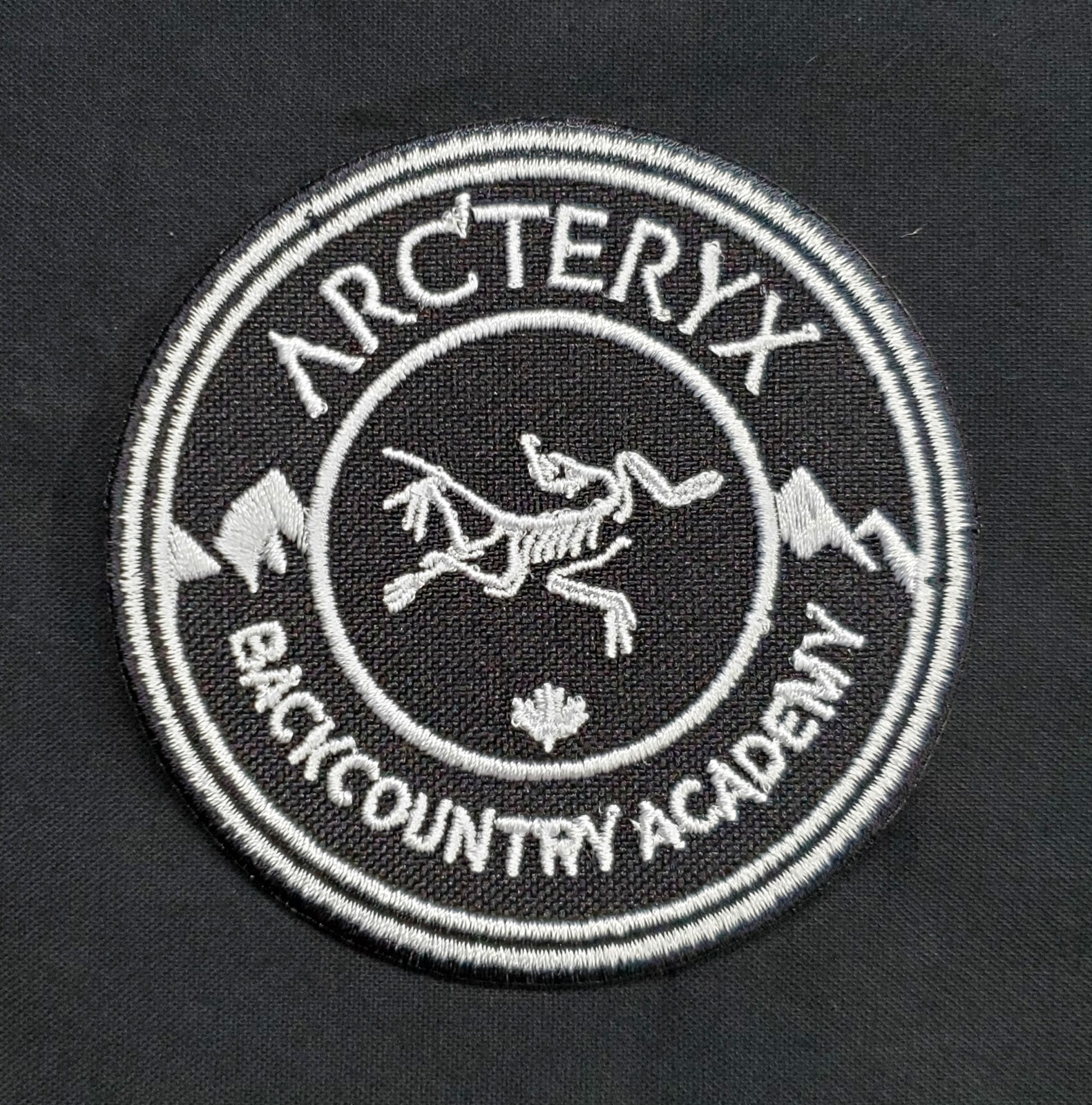 Archaeopteryx Embroidered Iron On Patch Ancient Wing Urvogel Dinosaur Arc'teryx